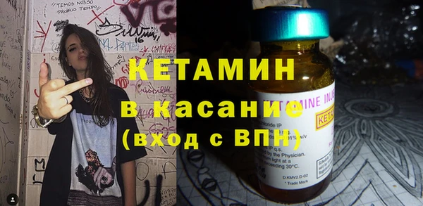 стаф Аркадак